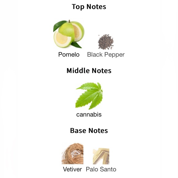 Oil Perfumery Open Sky Byredo replica - Picture 3 of 4